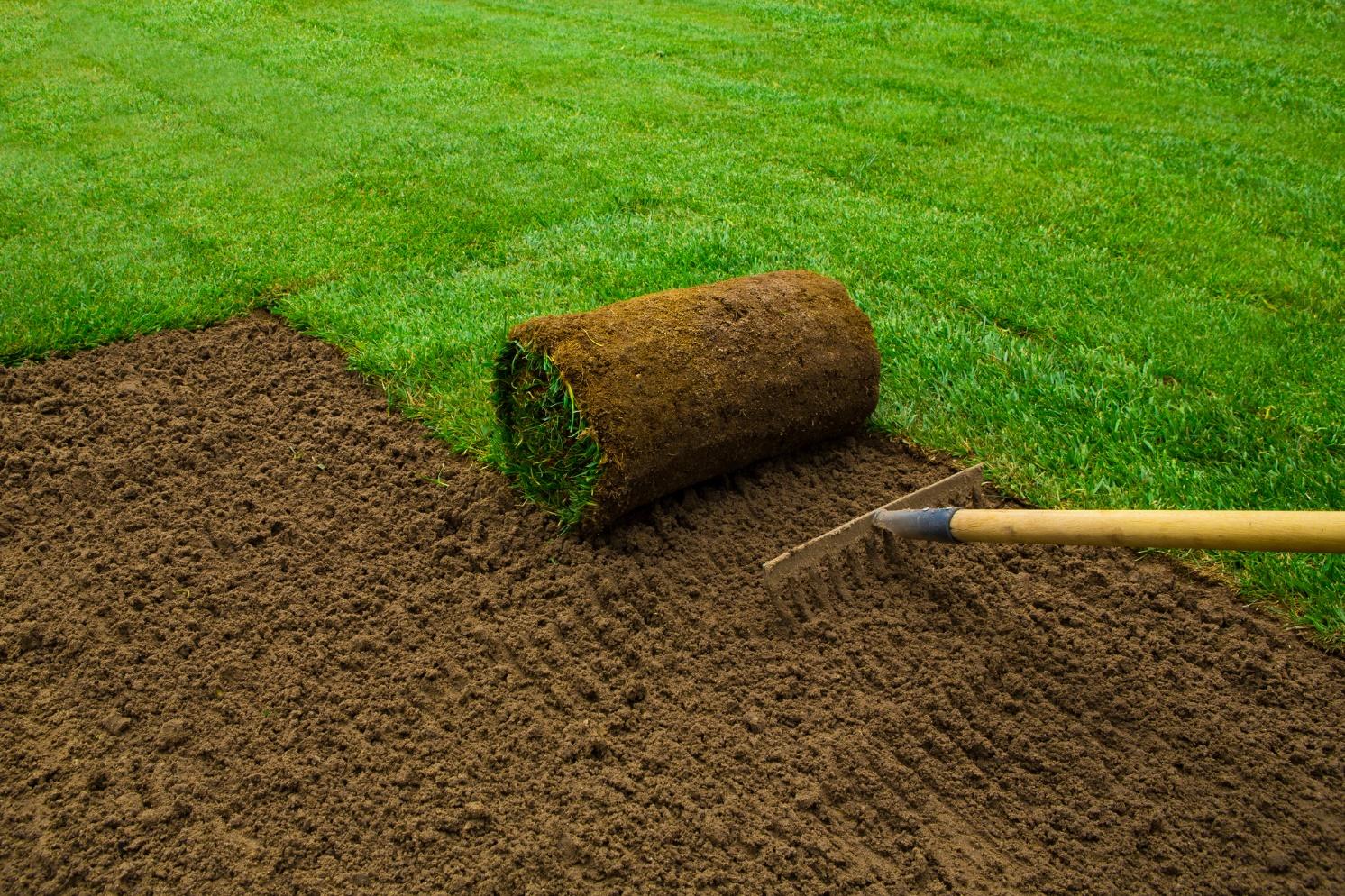 The Landscaping Benefits Of Installing Sod | Charlestown Landscaping