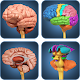 Download My Brain Anatomy For PC Windows and Mac 1.5