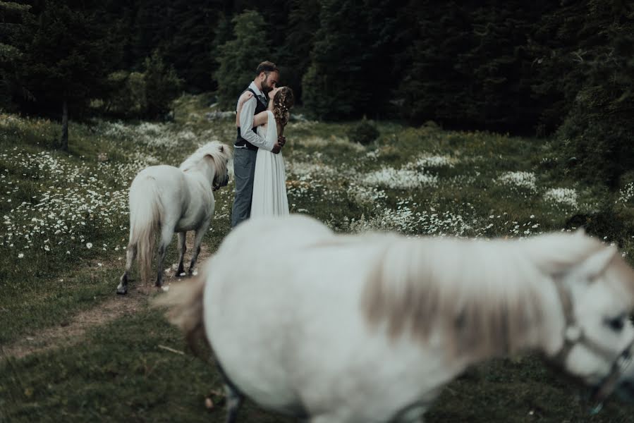 Весільний фотограф Nejc Bole (nejcbole). Фотографія від 15 лютого 2019