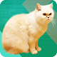 Download Cat Whistle Draw Cats For PC Windows and Mac 1.0