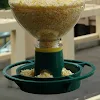 miniatures image - 1