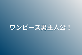 ワンピース男主人公！