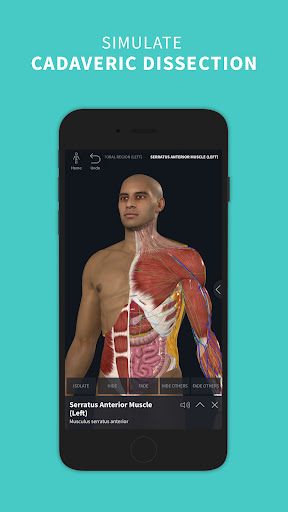 Screenshot Complete Anatomy 2024