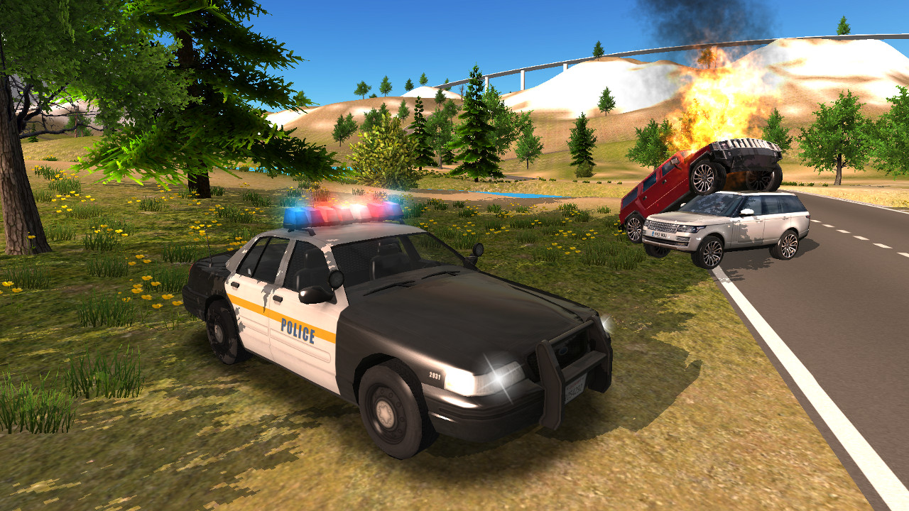   Police Car Driving Offroad- 스크린샷 