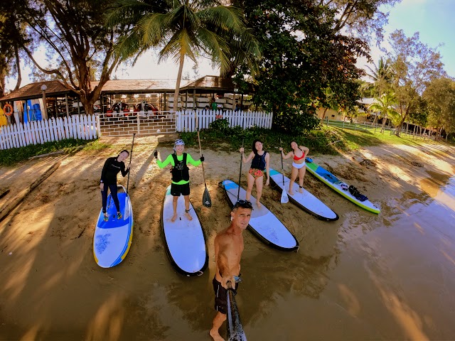 Borneo Paddle Monkeys