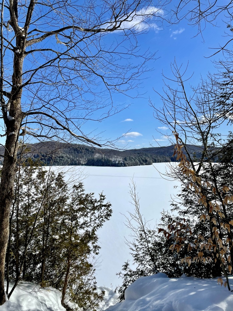 limberlost lookout