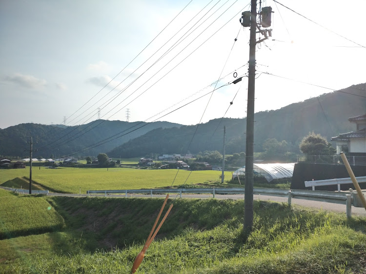 ステップワゴンの須佐ホルンフェルス・島根で1番大きな木に関するカスタム事例の投稿画像31枚目