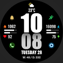 WFP 244 Sports watch face
