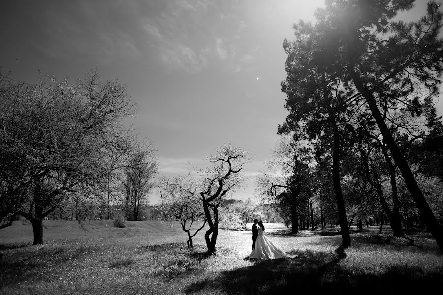 Fotografo di matrimoni Kamila Mirzoeva (kamila77). Foto del 26 giugno 2017