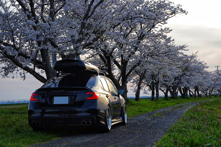 WRX S4のサクラと愛車・BBS LM・ルーフボックス・フェアリング・ミラーレス一眼に関するカスタム事例の投稿画像4枚目