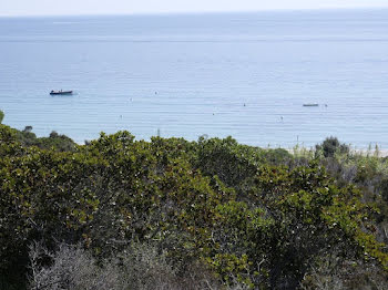 terrain à Bonifacio (2A)