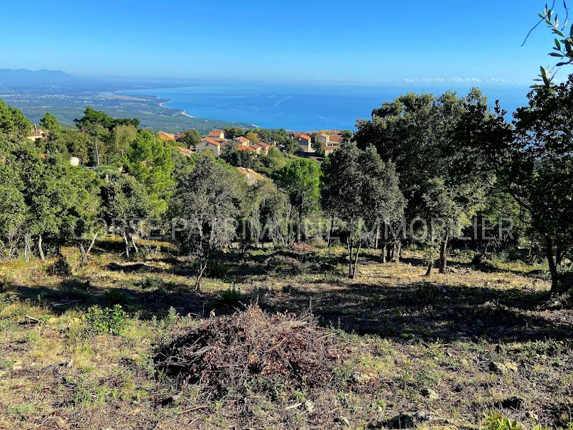 Vente terrain  1100 m² à Sari-Solenzara (20145), 153 300 €