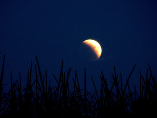 notturno in laguna di mariellaturlon