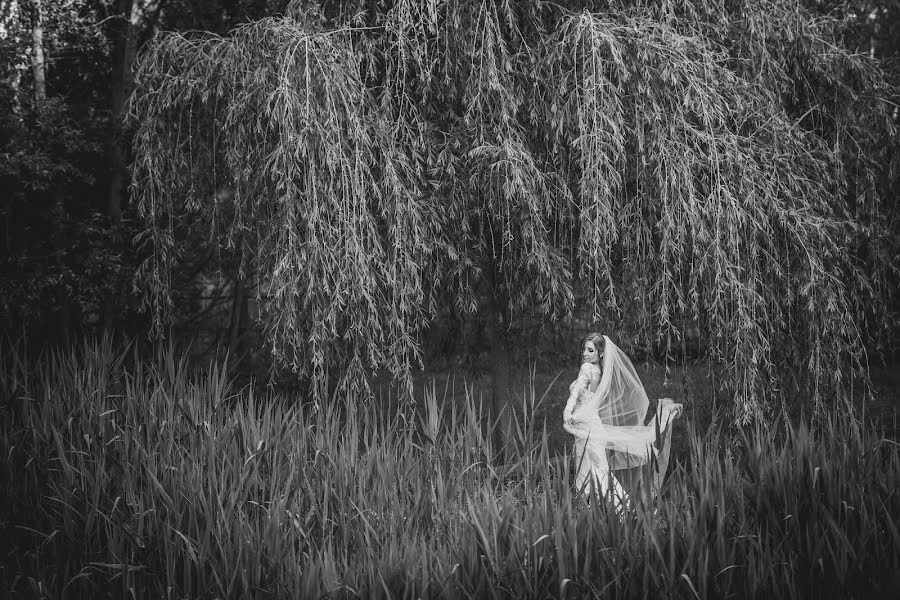 Fotografo di matrimoni Jakub Viktora (viktora). Foto del 11 febbraio 2019