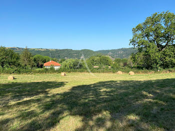 terrain à Pampelonne (81)