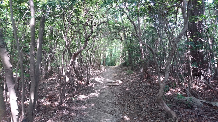 スカイラインのプリンススカイラインミュージアム・松本城・最後のスカG保存会・有馬富士・ミニクロスオーバーに関するカスタム事例の投稿画像19枚目
