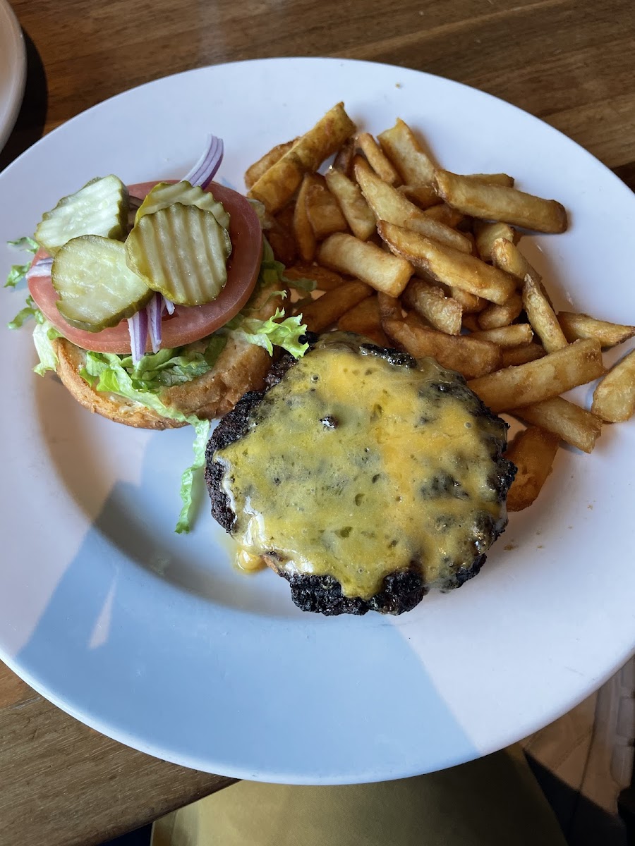 Cheddar burger on gluten free bun