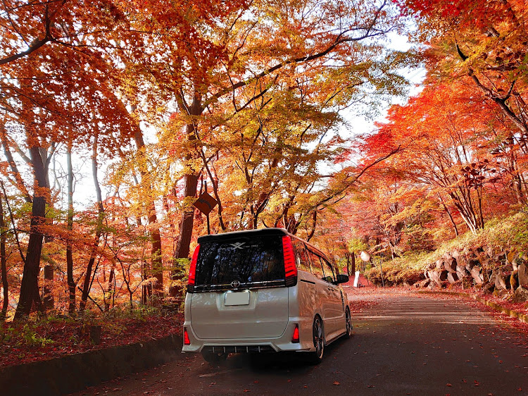 ヴォクシーの秋の山コラボ・山道ドライブ・紅葉・もみじと愛車・2024ベストショット11月に関するカスタム事例の投稿画像1枚目