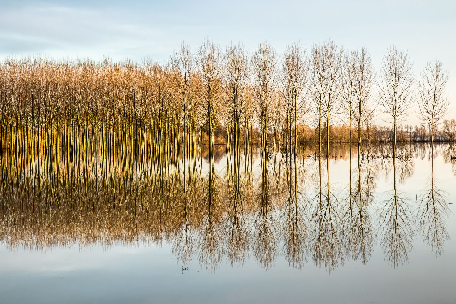 Riflessi dopo la piena di serenadecarli37