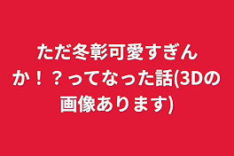 ただ冬彰可愛すぎんか！？ってなった話(3Dの画像あります)