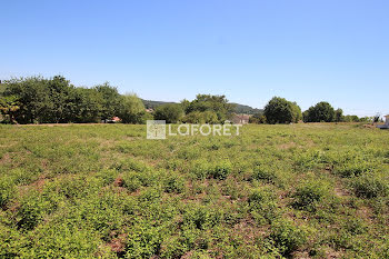 terrain à Orthez (64)