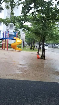 台風写真