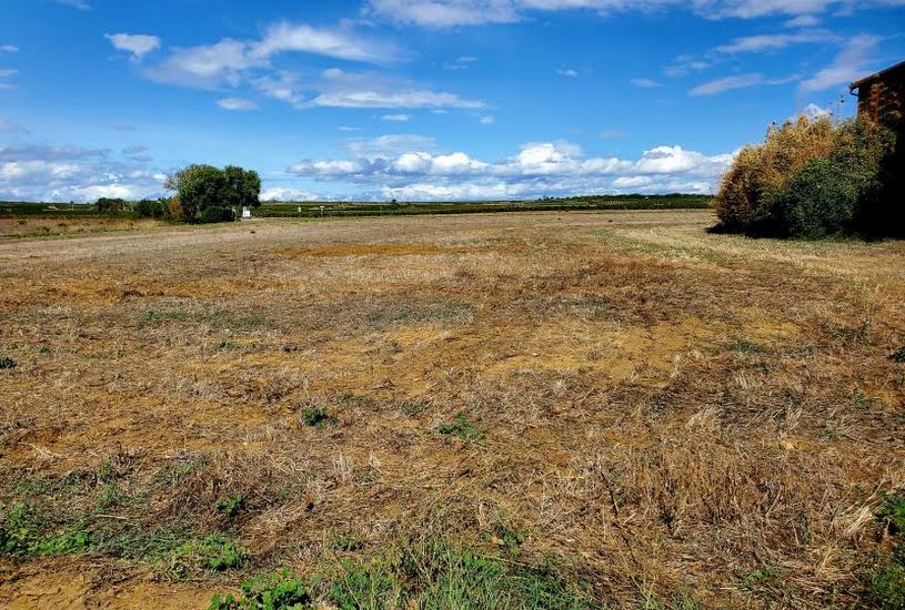  Vente Terrain à bâtir - 505m² à Lieuran-lès-Béziers (34290) 