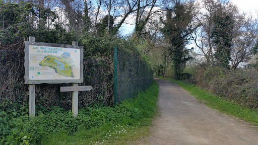 Site Ornithologique De La Mandine