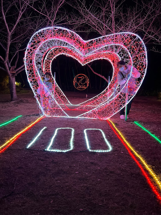 ワゴンRのイルミネーション・GODIVA・遊園地デートに関するカスタム事例の投稿画像3枚目