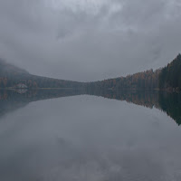 Nella nebbia di 