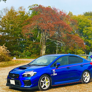 WRX STI VAB