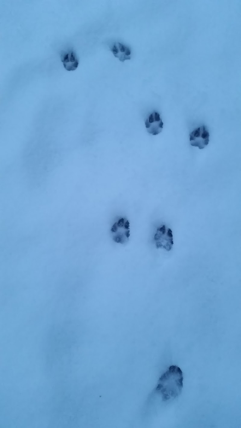 dall' alto nella neve di cascira