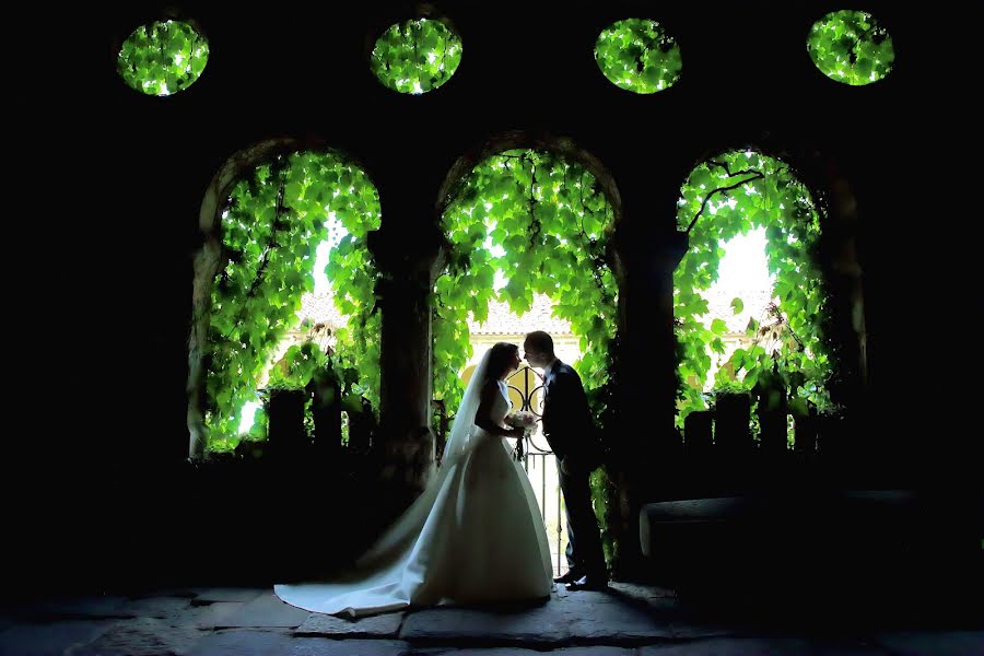 Fotógrafo de casamento Miguel ángel Nieto - Artenfoque (miguelngelnie). Foto de 27 de setembro 2015