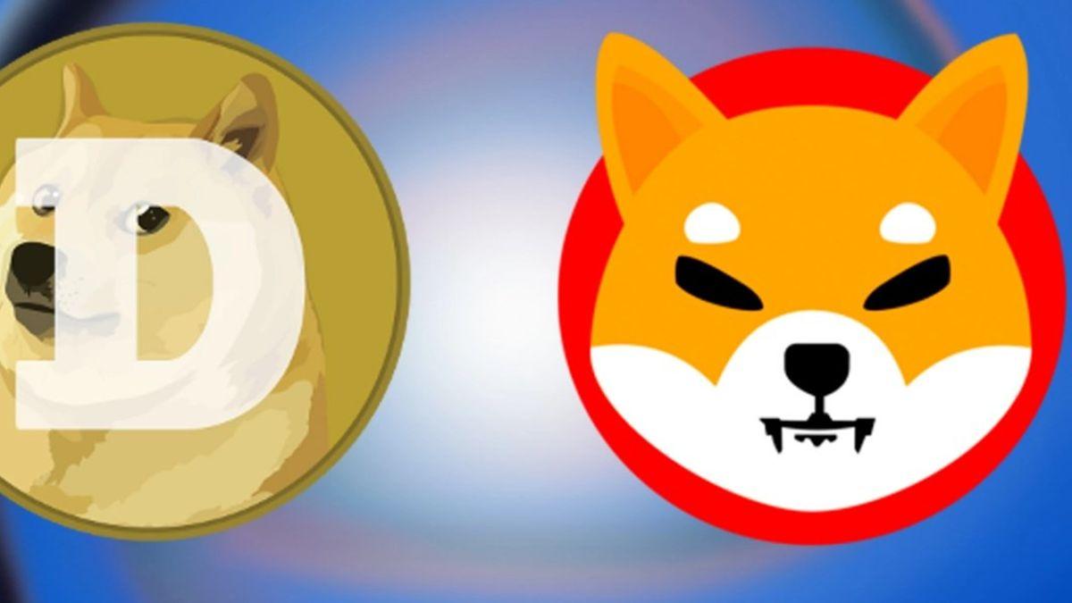 F:\aaaaaaaaaaaparastoo\پرستو\bit24\۲۱فروردین\reportage\shiba inu\shiba&doge coin.jpg