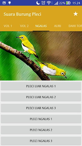 Suara Burung Pleci Gacor MP3 Offline