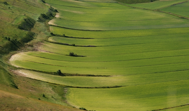 Sinfonia in verde di carlo-bi