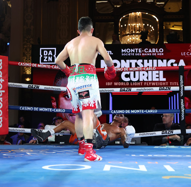 Sivenathi Nontshinga is knocked out by Adrian Curiel Dominguez at Casino de Monte-Carlo on November 4