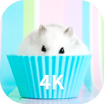 Cover Image of ダウンロード Hamster Wallpapers 1.7.2 APK