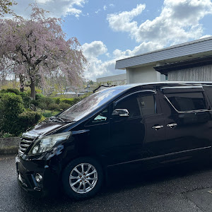 アルファード ANH20W