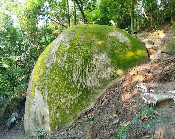 Kiara Hill Yellow Rock