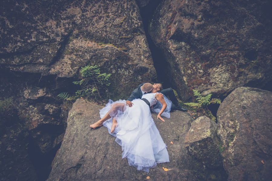 Fotógrafo de bodas Michał Szrajber (michalszrajber). Foto del 4 de noviembre 2016