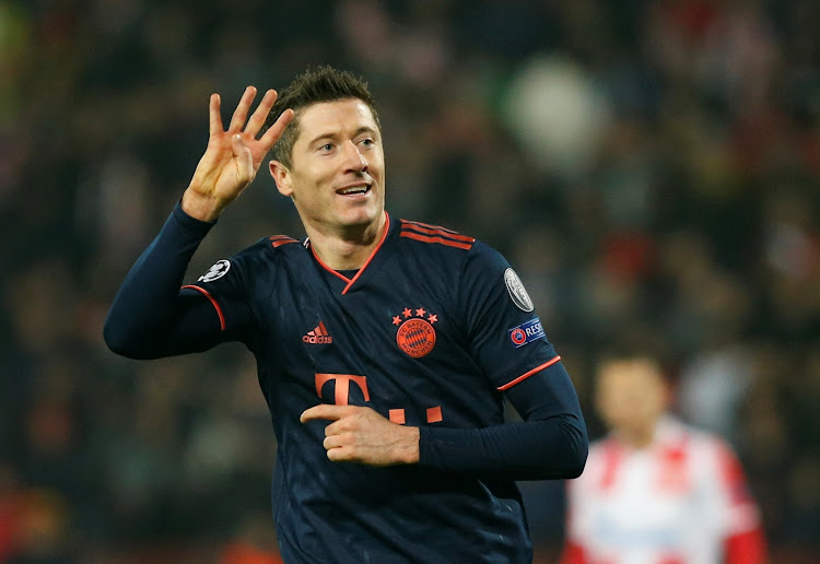 Bayern Munich's Robert Lewandowski celebrates scoring his fourth against Crvena Zvezda