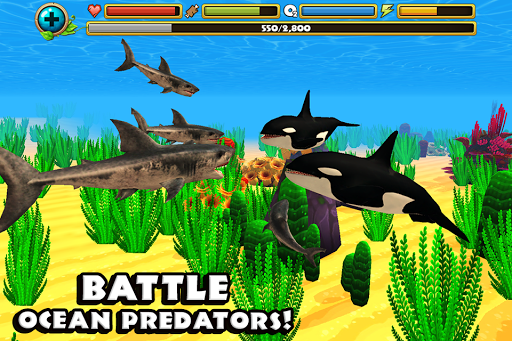 Screenshot Wildlife Simulator: Shark