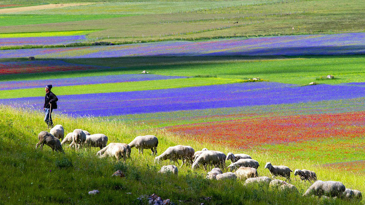 Tornerai a splendere... di utente cancellato