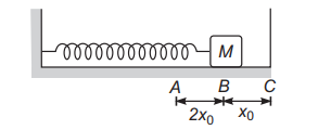 Spring-mass system