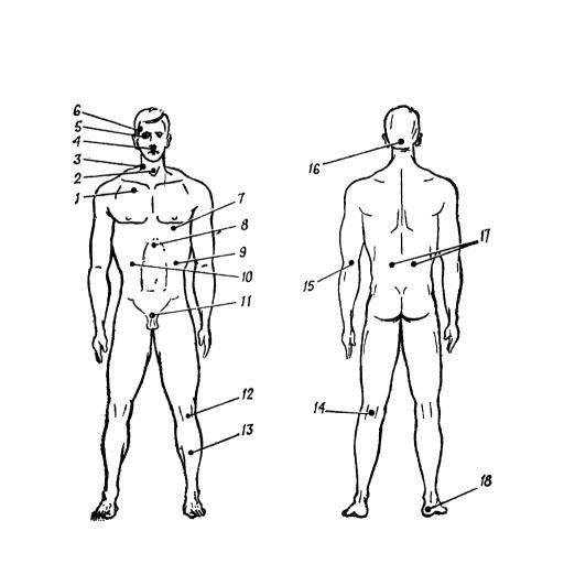 Точка 5.6. Уязвимые места человека. Уязвимые точки человеческого тела. Болевые точки у мужчин. Болевые точки тела человека.