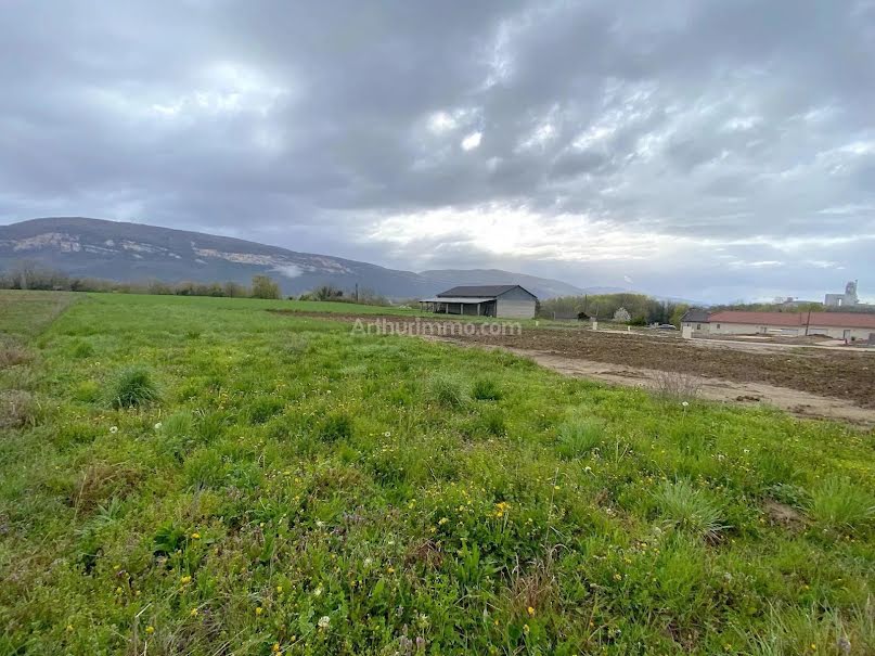 Vente terrain à batir  580 m² à Montalieu-Vercieu (38390), 108 000 €