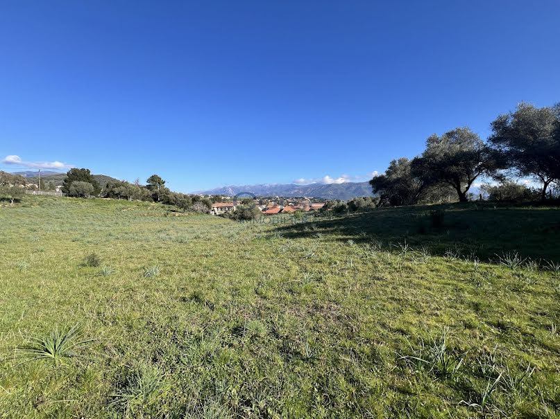 Vente terrain à batir  1200 m² à Afa (20167), 220 000 €