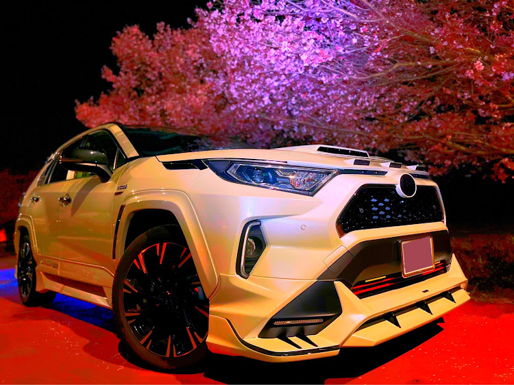 CX-8のcx8・桜と愛車・RAV4・138タワー・木曽川堤に関するカスタム事例の投稿画像5枚目