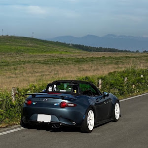 ロードスター ND5RC